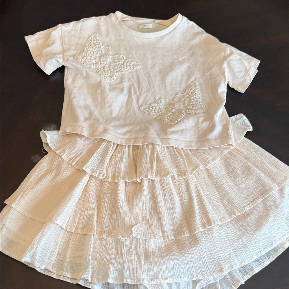 Next Blush Pink Butterfly Top and Ruffle Skirt Set